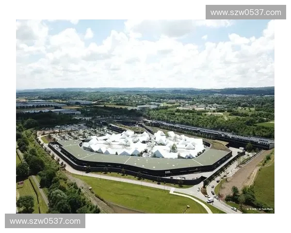 里昂足球俱乐部的崛起与挑战：从辉煌岁月到未来展望