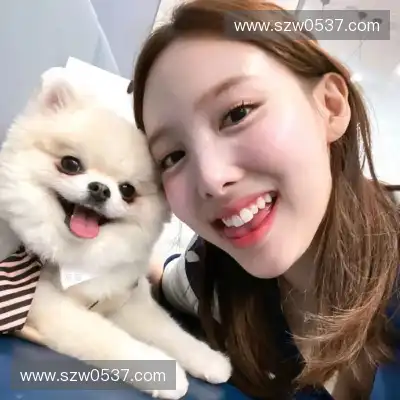 俞魁仁